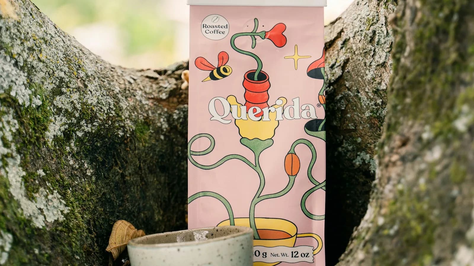 Mushroom coffee: the hype, the science, and whether it's worth the swap
